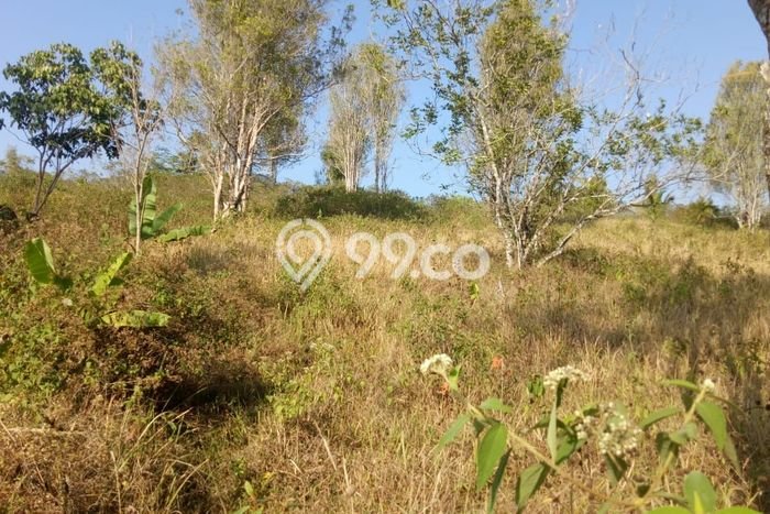 Tanah untuk Dijual Lokasi Cianjur, Cianjur Luas 28745m2 SHM Tanah untuk Dijual Lokasi Cianjur, Cianjur Luas 28745m2 SHM