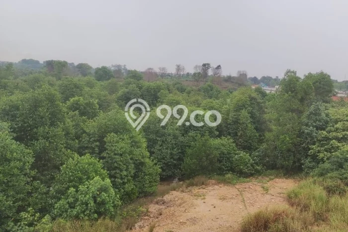 Tanah Siap Bangun Dijual di Batam Punya Luas 68000m2 Tanah Siap Bangun Dijual di Batam Punya Luas 68000m2