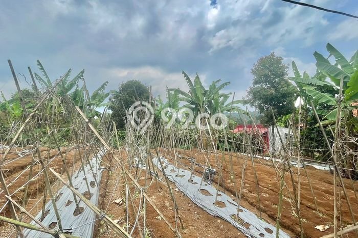 Lahan untuk Dijual Lokasi Bojong, Purwakarta Luas 810m2 SHM Lahan untuk Dijual Lokasi Bojong, Purwakarta Luas 810m2 SHM