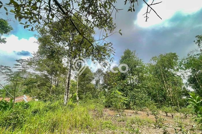 Lahan Kosong Dijual di Purwakarta dengan Area 1680m2 Lahan Kosong Dijual di Purwakarta dengan Area 1680m2