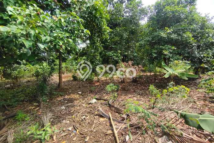 Lahan Investasi Lokasi Bungursari Purwakarta SHM Lahan Investasi Lokasi Bungursari Purwakarta SHM