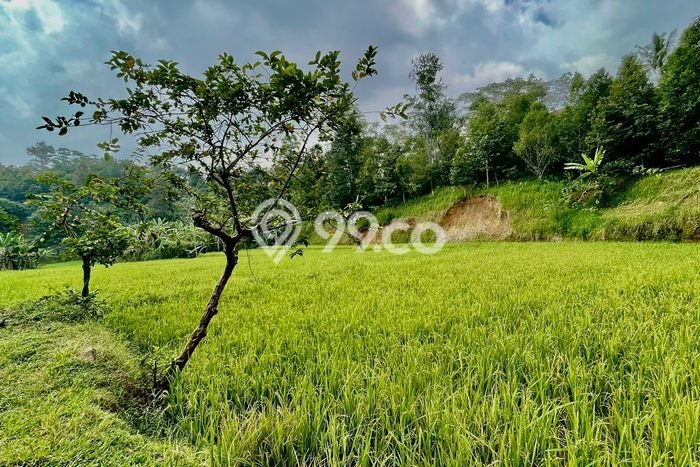 Tanah Strategis Dijual di Bojong Purwakarta 625m2 Tanah Strategis Dijual di Bojong Purwakarta 625m2