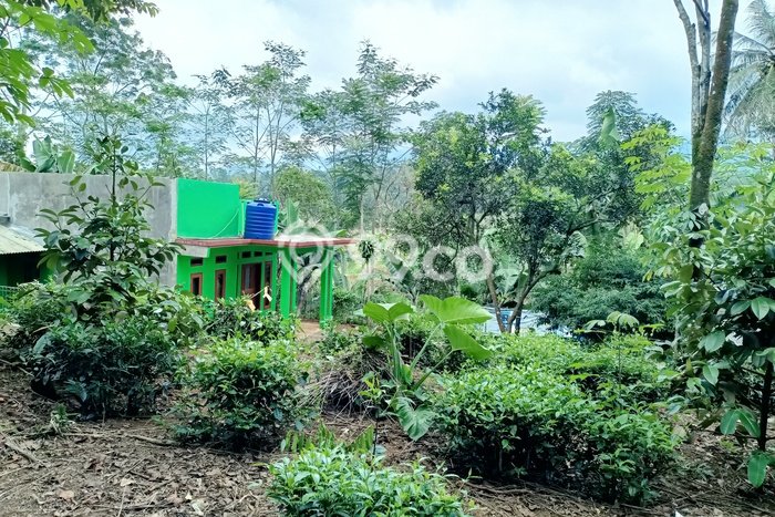 Kavling Tanah Dijual di Bojong Purwakarta Spesifikasi 709m2 Kavling Tanah Dijual di Bojong Purwakarta Spesifikasi 709m2