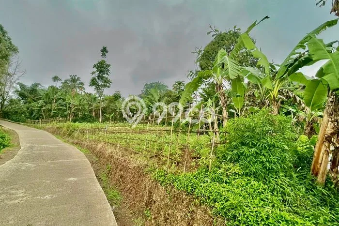 Tanah untuk Dijual di Bojong Purwakarta Luas 318m2 Tanah untuk Dijual di Bojong Purwakarta Luas 318m2