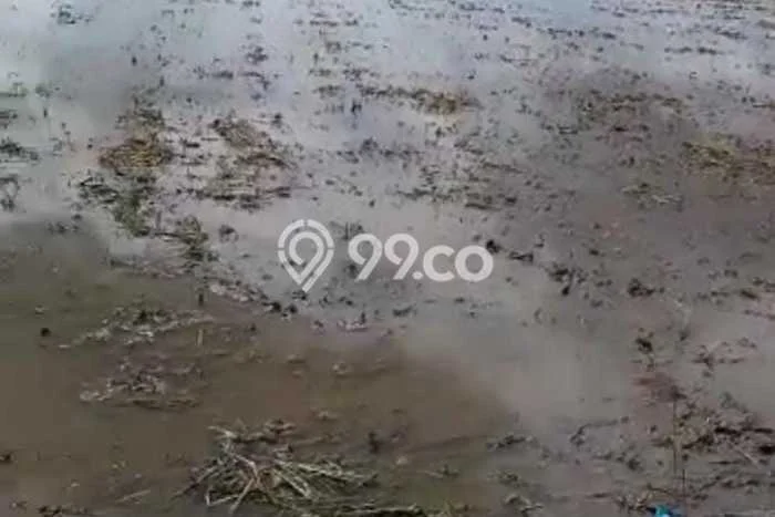 Lahan untuk Dijual di Telukjambe Timur Karawang Luas 4147m2 Lahan untuk Dijual di Telukjambe Timur Karawang Luas 4147m2