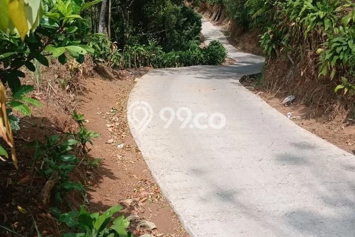 Lahan Strategis di Bojong Dijual dengan Luas 310m2 Lahan Strategis di Bojong Dijual dengan Luas 310m2
