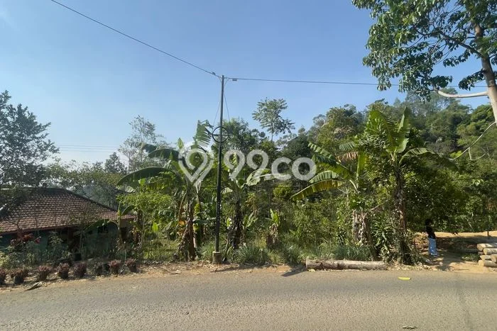 Lahan Dijual Lokasi Bojong, Purwakarta dengan Luas Tanah 350m2 dan Status SHM Lahan Dijual Lokasi Bojong, Purwakarta dengan Luas Tanah 350m2 dan Status SHM