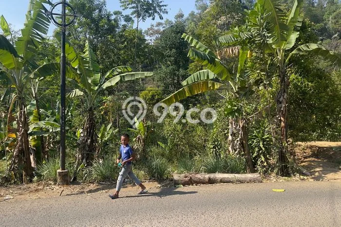 Lahan Dijual Lokasi Bojong, Purwakarta dengan Luas Tanah 350m2 dan Status SHM Lahan Dijual Lokasi Bojong, Purwakarta dengan Luas Tanah 350m2 dan Status SHM