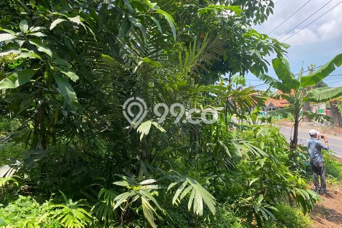 Tanah Dijual Lokasi Darangdan, Purwakarta Luas 622m2 Legalitas Aman Tanah Dijual Lokasi Darangdan, Purwakarta Luas 622m2 Legalitas Aman