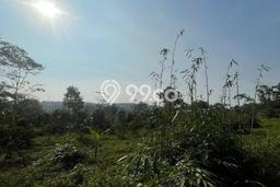 Untuk Dijual Tanah di Wanayasa Purwakarta Luas 3999m2 SHM Untuk Dijual Tanah di Wanayasa Purwakarta Luas 3999m2 SHM