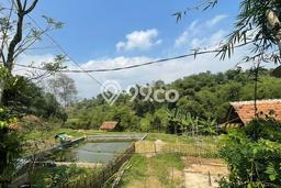 Tanah Kavling untuk Dijual di Darangdan Purwakarta 9600m2 Tanah Kavling untuk Dijual di Darangdan Purwakarta 9600m2