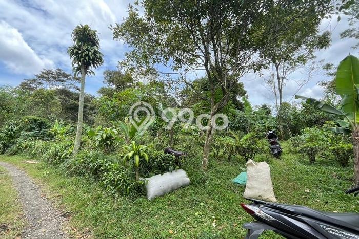 Untuk Dijual Tanah di Bojong Purwakarta Luas 1100m2 SHM Untuk Dijual Tanah di Bojong Purwakarta Luas 1100m2 SHM