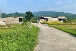 Tanah Dijual Lokasi Jatiluhur, Purwakarta dengan Luas Tanah 6127m2 dan Status SHM Tanah Dijual Lokasi Jatiluhur, Purwakarta dengan Luas Tanah 6127m2 dan Status SHM