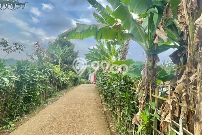 Lahan untuk Dijual Lokasi Bojong, Purwakarta Luas 810m2 SHM Lahan untuk Dijual Lokasi Bojong, Purwakarta Luas 810m2 SHM
