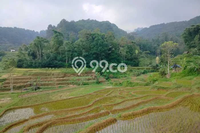 Lahan Investasi Lokasi Bojong Purwakarta SHM Lahan Investasi Lokasi Bojong Purwakarta SHM