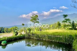Tanah Dijual Lokasi Bojong Purwakarta SHM Tanah Dijual Lokasi Bojong Purwakarta SHM