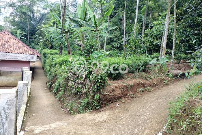 Kavling Tanah Dijual di Bojong Purwakarta Spesifikasi 709m2 Kavling Tanah Dijual di Bojong Purwakarta Spesifikasi 709m2
