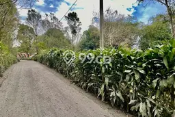 Jarang Ada! Tanah di Bojong Punya Luas 4110m2 SHM Jarang Ada! Tanah di Bojong Punya Luas 4110m2 SHM