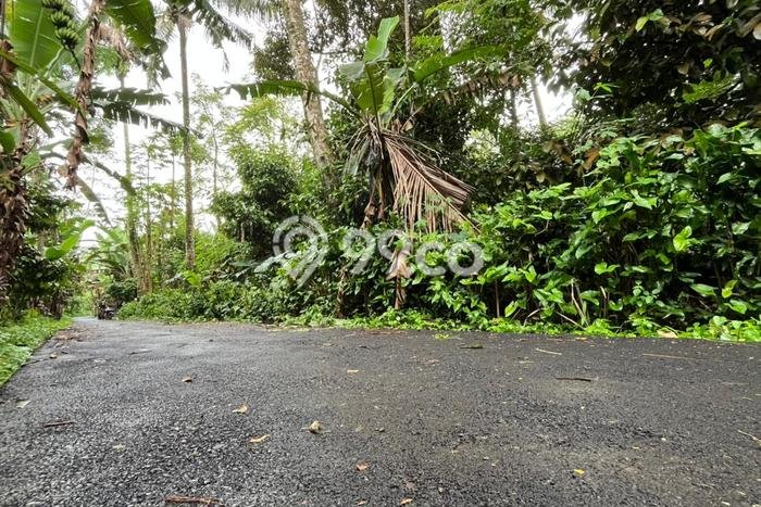Tanah Strategis Dijual di Wanayasa Purwakarta 1064m2 Tanah Strategis Dijual di Wanayasa Purwakarta 1064m2