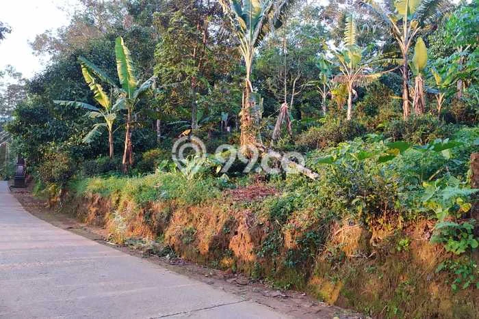 Tanah Kavling untuk Dijual di Kiarapedes Purwakarta 530m2 Tanah Kavling untuk Dijual di Kiarapedes Purwakarta 530m2