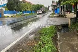 Tanah Dijual Lokasi Campaka, Purwakarta Luas 295m2 Legalitas Aman Tanah Dijual Lokasi Campaka, Purwakarta Luas 295m2 Legalitas Aman