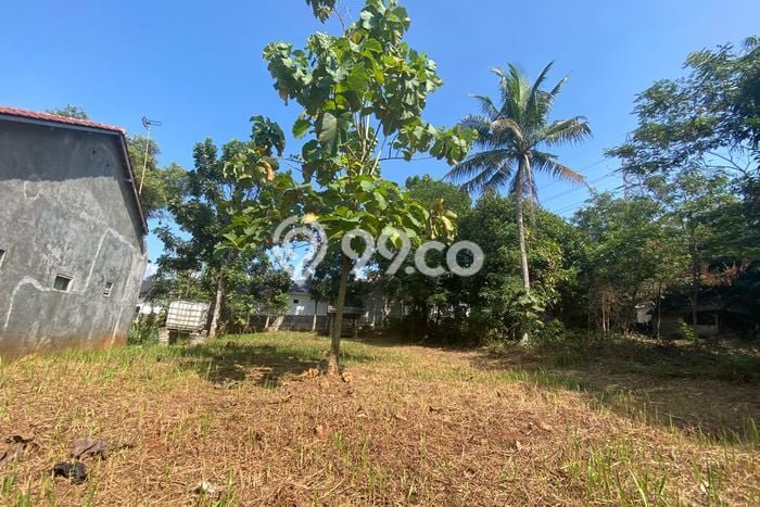 Tanah Dijual Lokasi Campaka Purwakarta SHM Tanah Dijual Lokasi Campaka Purwakarta SHM