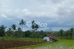 Kavling Tanah Dijual di Cisaat Sukabumi Spesifikasi 6675m2 Kavling Tanah Dijual di Cisaat Sukabumi Spesifikasi 6675m2