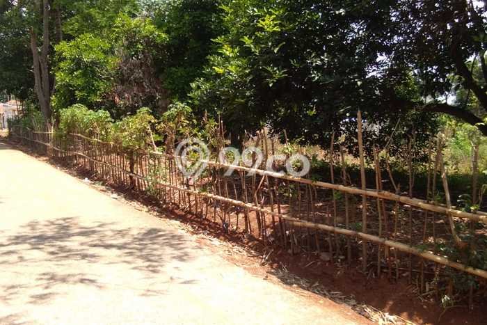 Lahan untuk Dijual Lokasi Bungursari, Purwakarta Luas 3280m2 SHM Lahan untuk Dijual Lokasi Bungursari, Purwakarta Luas 3280m2 SHM