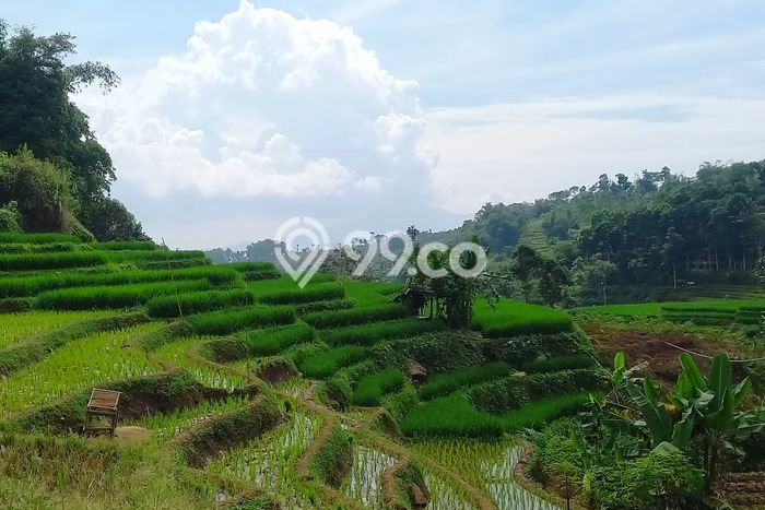 LOKASI STRATEGIS! Tanah di Sumedang Selatan, Luas 2167m², Lingkungan Asri, Cocok untuk Hunian LOKASI STRATEGIS! Tanah di Sumedang Selatan, Luas 2167m², Lingkungan Asri, Cocok untuk Hunian