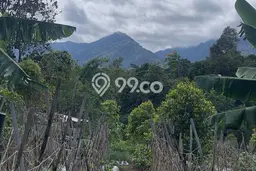 Kavling Tanah di Bojong Dijual Luas 8168m2 Legalitas SHM Kavling Tanah di Bojong Dijual Luas 8168m2 Legalitas SHM