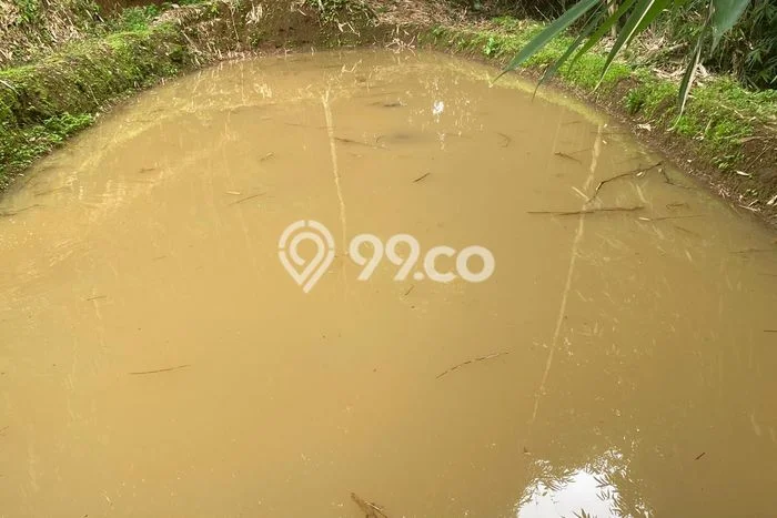 Tanah Dijual Lokasi Bojong Purwakarta SHM Tanah Dijual Lokasi Bojong Purwakarta SHM