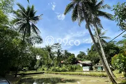 Tanah Dijual Lokasi Pasawahan, Purwakarta dengan Luas Tanah 1036m2 dan Status SHM Tanah Dijual Lokasi Pasawahan, Purwakarta dengan Luas Tanah 1036m2 dan Status SHM