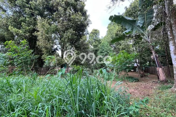 Tanah Dijual Lokasi Bojong, Purwakarta dengan Luas Tanah 754m2 dan Status SHM Tanah Dijual Lokasi Bojong, Purwakarta dengan Luas Tanah 754m2 dan Status SHM