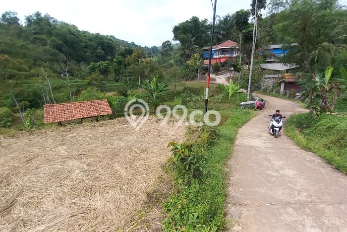 LOKASI STRATEGIS! Tanah di Sumedang Selatan, Luas 2167m², Lingkungan Asri, Cocok untuk Hunian LOKASI STRATEGIS! Tanah di Sumedang Selatan, Luas 2167m², Lingkungan Asri, Cocok untuk Hunian