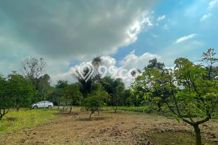 Tanah Dijual Lokasi Kiarapedes Purwakarta SHM Tanah Dijual Lokasi Kiarapedes Purwakarta SHM