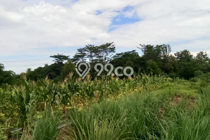 Tanah Siap Bangun Dijual di Purwakarta Punya Luas 18986m2 Tanah Siap Bangun Dijual di Purwakarta Punya Luas 18986m2
