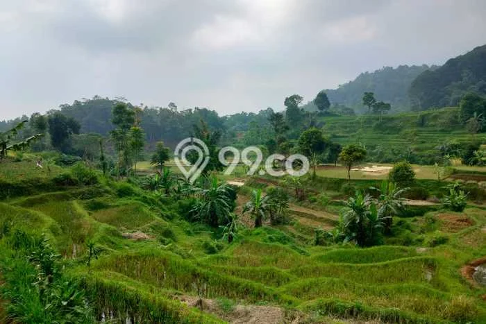Lahan Investasi Lokasi Bojong Purwakarta SHM Lahan Investasi Lokasi Bojong Purwakarta SHM