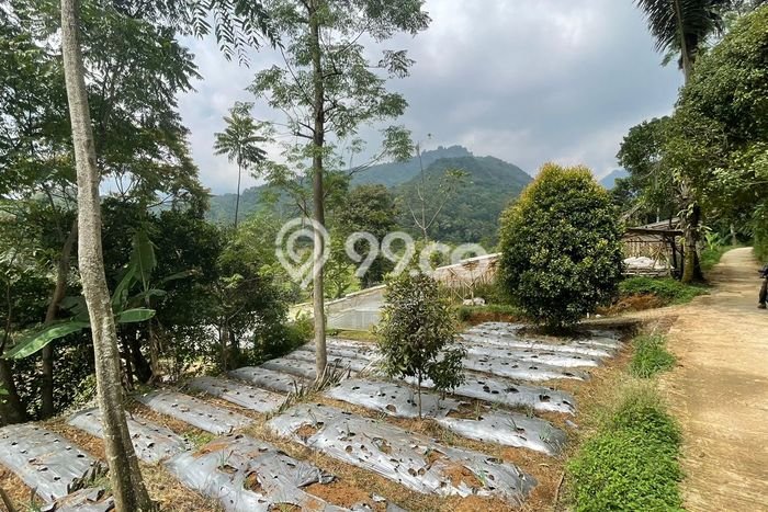 Tanah Lokasi Potensial di Bojong, Luas 1019m², Akses ke Fasilitas Umum, Akses Bojong, Purwakarta, Purwakarta Tanah Lokasi Potensial di Bojong, Luas 1019m², Akses ke Fasilitas Umum, Akses Bojong, Purwakarta, Purwakarta