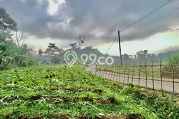 Tanah untuk Dijual di Bojong Purwakarta Luas 318m2 Tanah untuk Dijual di Bojong Purwakarta Luas 318m2