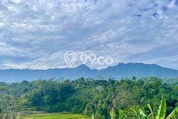 Kavling Tanah di Bojong Dijual Luas 3437m2 Legalitas SHM Kavling Tanah di Bojong Dijual Luas 3437m2 Legalitas SHM