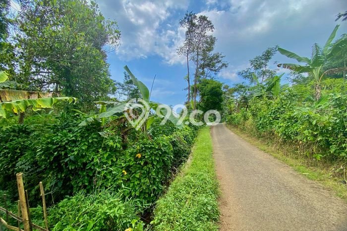 Tanah di Wanayasa, Luas 1275m2m², Area Strategis, Kawasan Nyaman, Kontur Datar Tanah di Wanayasa, Luas 1275m2m², Area Strategis, Kawasan Nyaman, Kontur Datar
