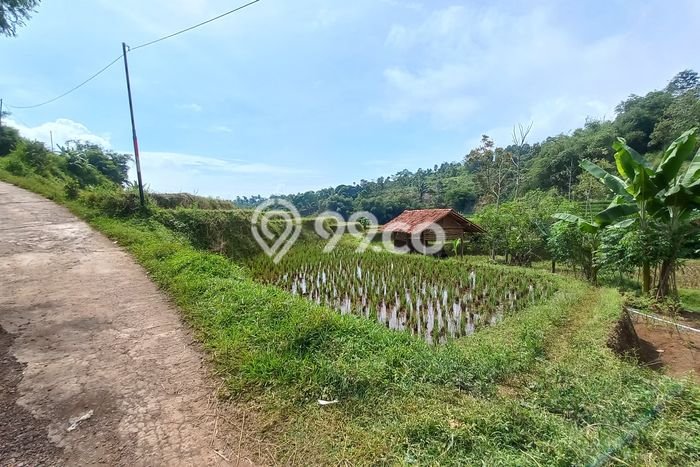 LOKASI STRATEGIS! Tanah di Sumedang Selatan, Luas 2167m², Lingkungan Asri, Cocok untuk Hunian LOKASI STRATEGIS! Tanah di Sumedang Selatan, Luas 2167m², Lingkungan Asri, Cocok untuk Hunian