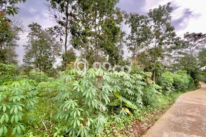 Tanah Komersial Dijual di Bojong Purwakarta 1885m2 Tanah Komersial Dijual di Bojong Purwakarta 1885m2