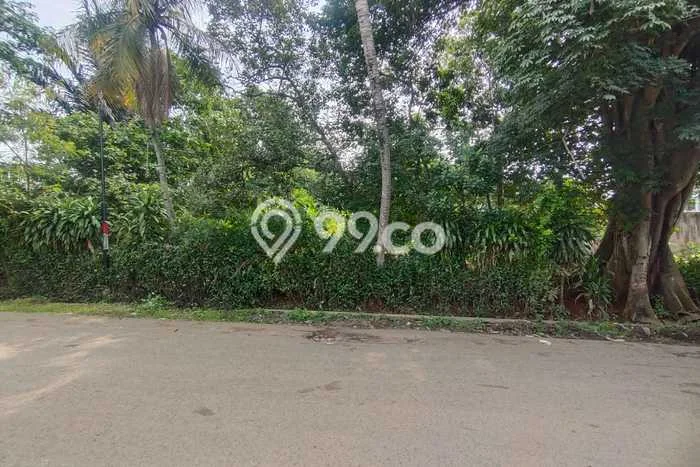 Lahan Investasi Lokasi Bungursari Purwakarta SHM Lahan Investasi Lokasi Bungursari Purwakarta SHM