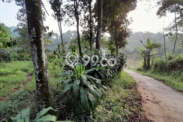 Lahan Investasi Lokasi Bojong Purwakarta SHM Lahan Investasi Lokasi Bojong Purwakarta SHM