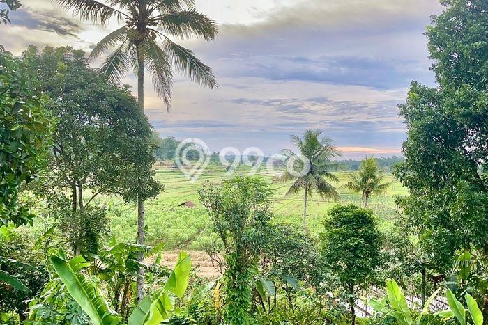 Lahan Kosong Dijual di Purwakarta dengan Area 530m2 Lahan Kosong Dijual di Purwakarta dengan Area 530m2