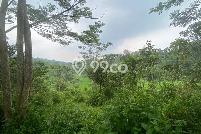 Tanah Strategis Dijual di Bojong Purwakarta 1200m2 Tanah Strategis Dijual di Bojong Purwakarta 1200m2