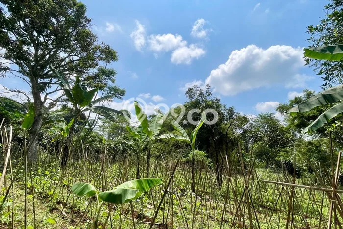Tanah untuk Dijual di Ciater Subang Luas 1994m2 Tanah untuk Dijual di Ciater Subang Luas 1994m2