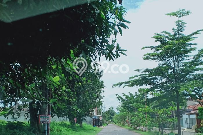 Tanah Kosong Dijual di Bogor dengan Area 300m2 Tanah Kosong Dijual di Bogor dengan Area 300m2