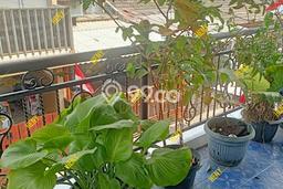 Dijual Rumah Strategis Bagus Punya 3 KT di Serpong Tangerang Selatan SHM Dijual Rumah Strategis Bagus Punya 3 KT di Serpong Tangerang Selatan SHM